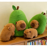 Doudou Capybara Avocat