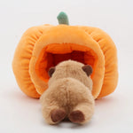 Peluche Capybara dans sa Citrouille