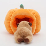 Peluche Capybara dans sa Citrouille